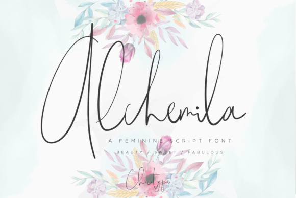 Alchemila Font for Modern Web Design