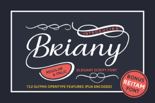 Briany Font: A Script Typeface for Small Business Branding