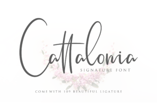 Cattalonia: A Script Font Built for Modern Marketing