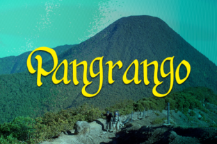 How Pangrango Typeface Helped My Small Business Stand Out