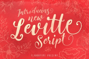 Levitte: A Script Display Font Built for Visual Storytelling