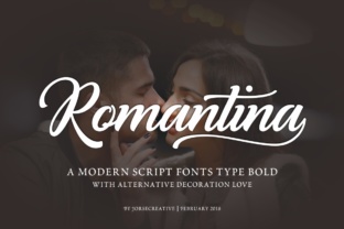 Romantina: A Beautiful Script Font