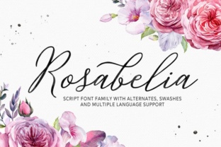 Rosabelia: A Script Font for Creative Web Design