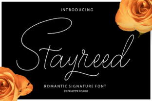 Stayreed Calligraphy Font: Why This Script Works for Campaign Design