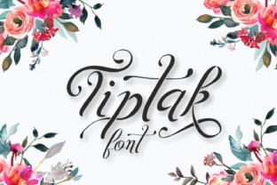 Tiptak: A Script Font for Editorial Design and Publishing